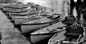 rowing boats